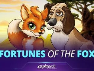 Fortunes Of The Fox (foxy Fortune) game icon
